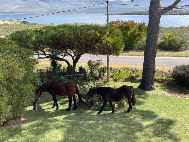 4 Bedroom Property for Sale in Fisherhaven Western Cape